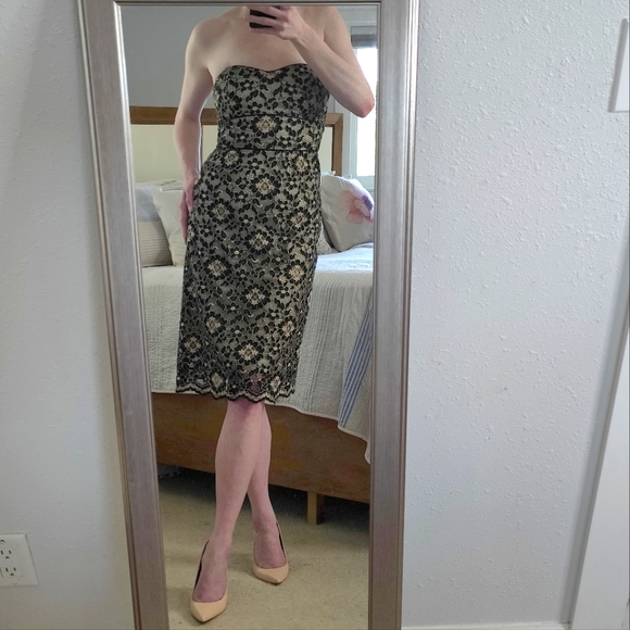 MOLLY Strapless Lace Gown Size 2 - Picture 1 of 5